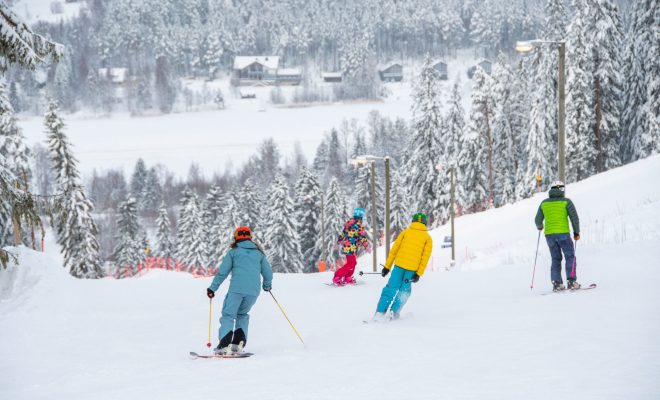 TAMMIKUUSSA TAPAHTUU