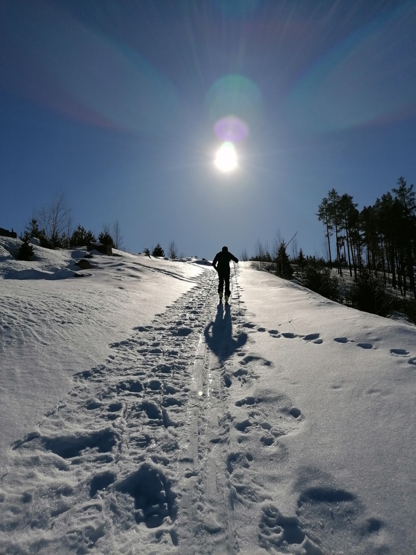 OMAT NOUSUPOLUT, RANDOHIIHTO TUTUKSI HIMOKSELLA